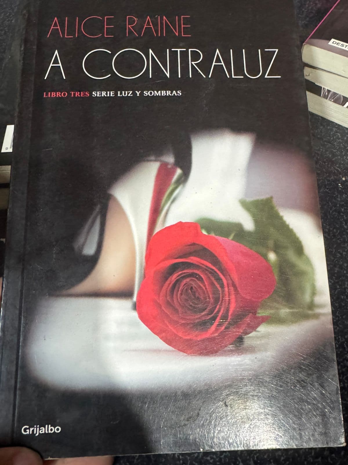 A Contraluz (Luz y Sombras 3) - Imagen 1