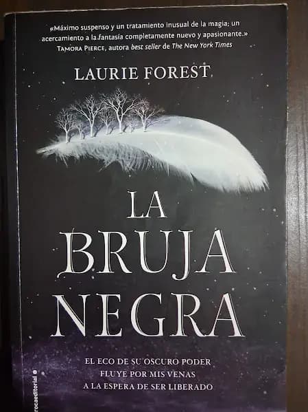 La Bruja Negra (Las Crónicas de La Bruja Negra 1) - Imagen 1