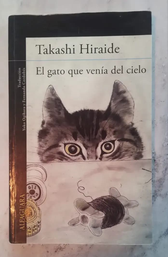 El Gato que Venía del Cielo - Imagen 1