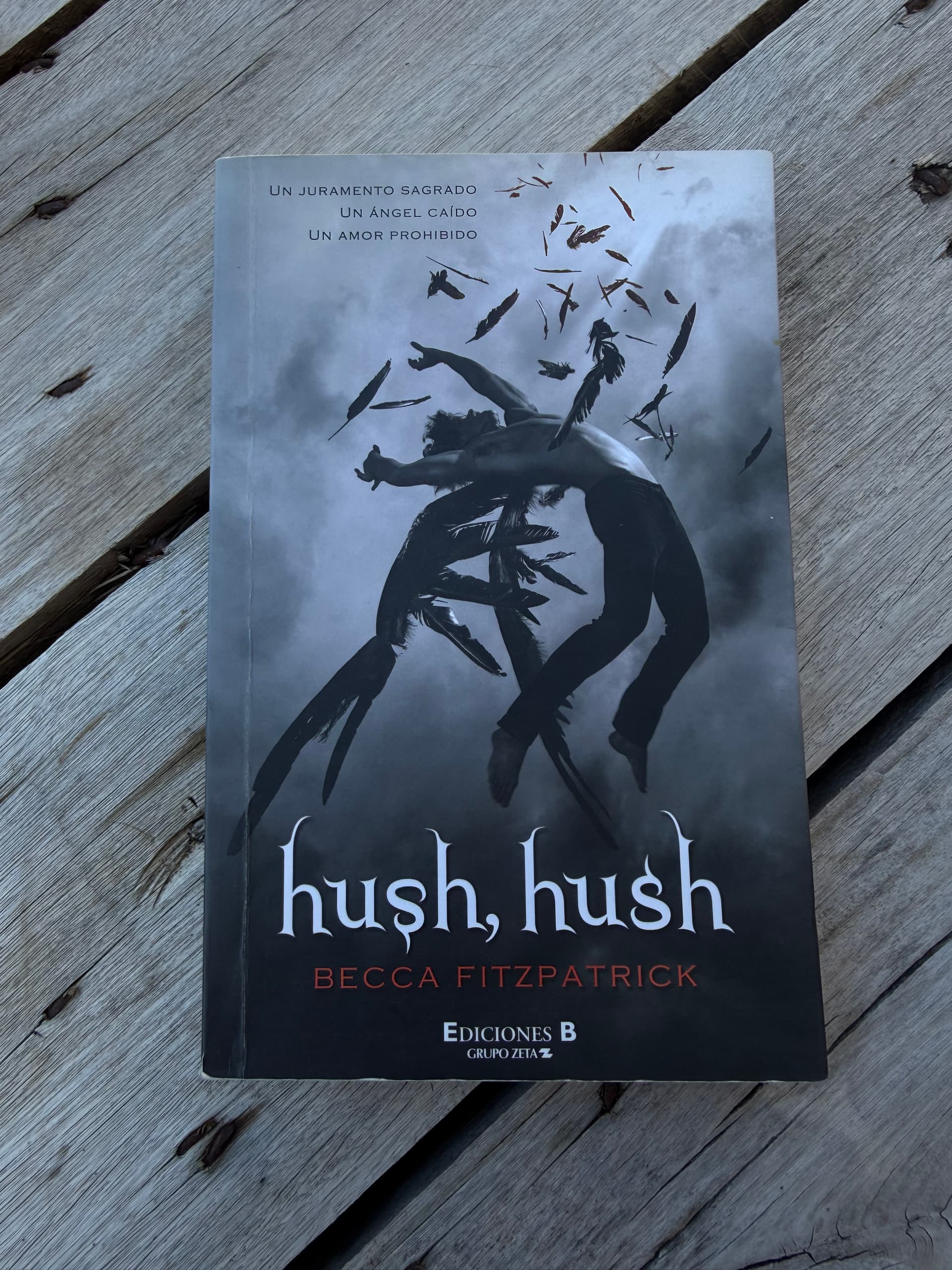 Portada de Hush, Hush Pb Slipcase X 4