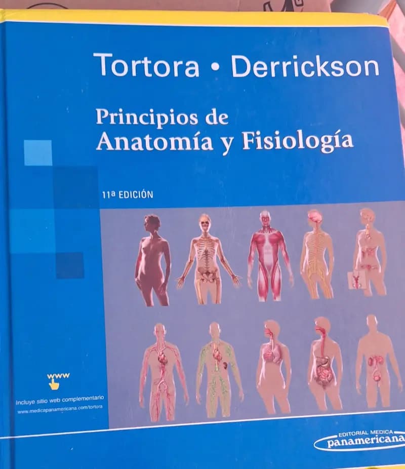 Principios de Anatoma y Fisiologa / Principles of Anatomy and Physiology - Imagen 1